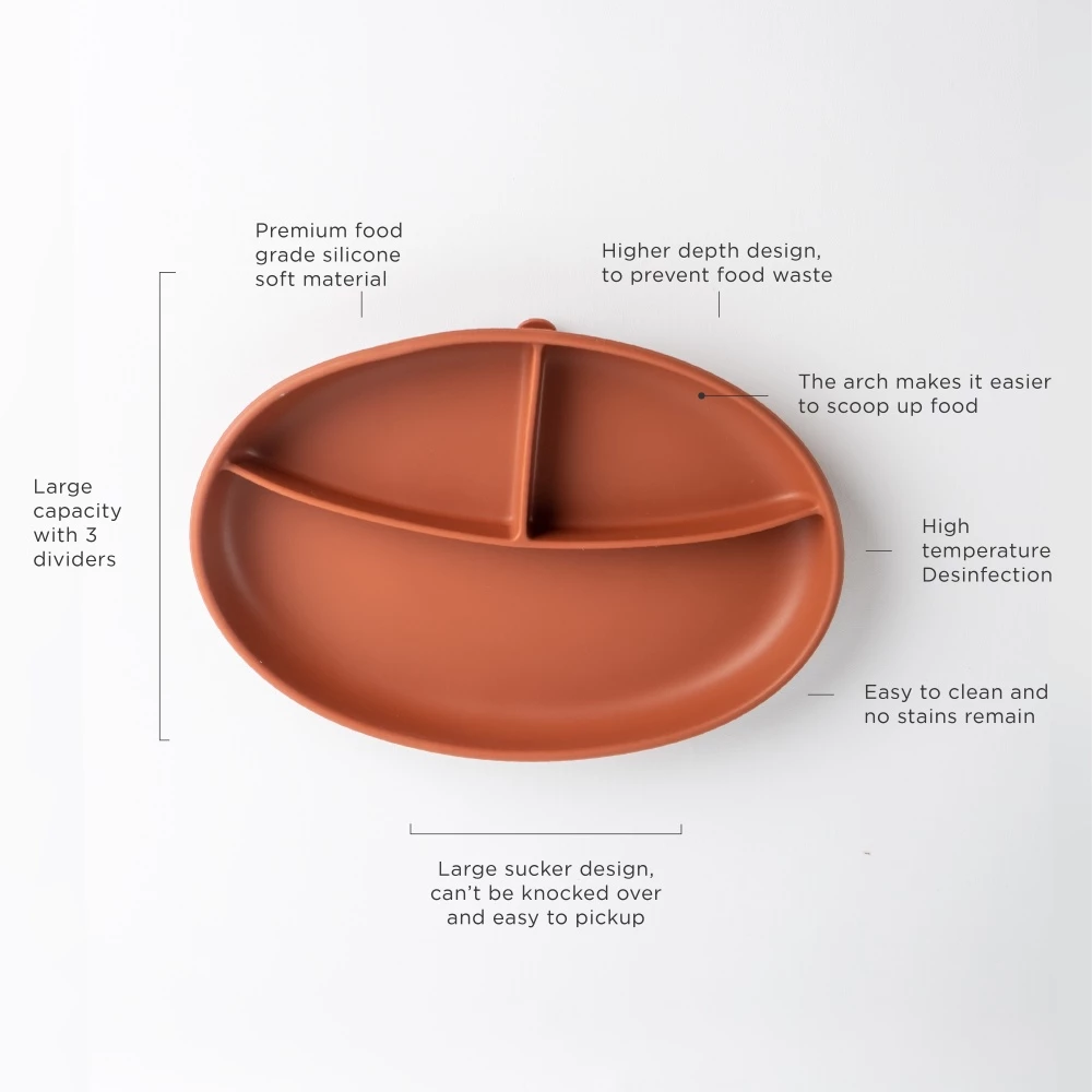 Suction Plate view 2
