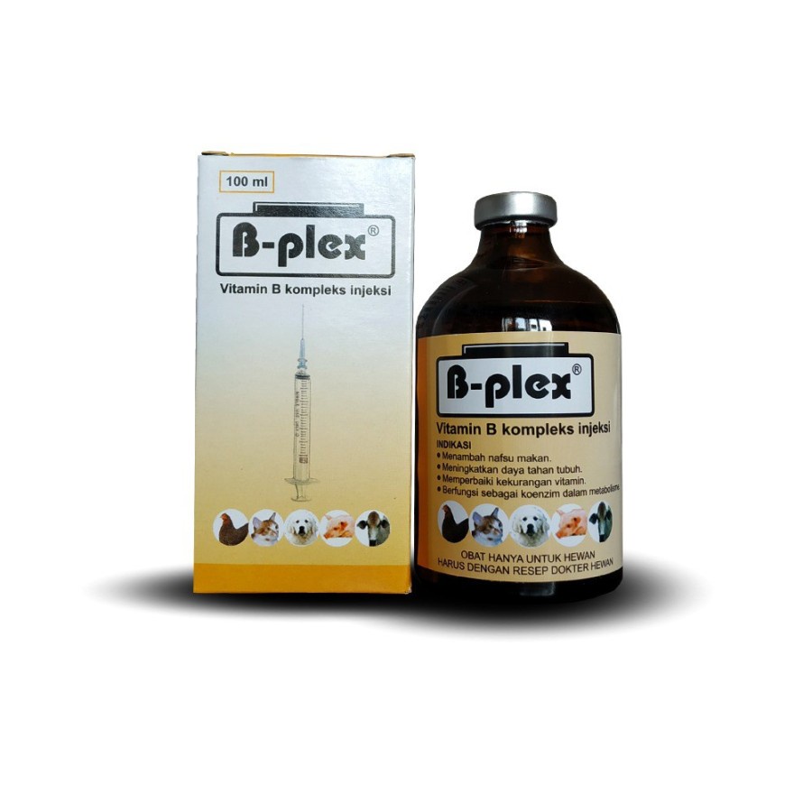 Jual B Plex Injection Vit B Kompleks Injection Ukuran 50ml Dan