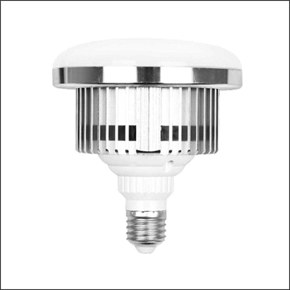 Jual 300W LED Light Bulbs Monochrome Photography Softbox Lighting Bulb