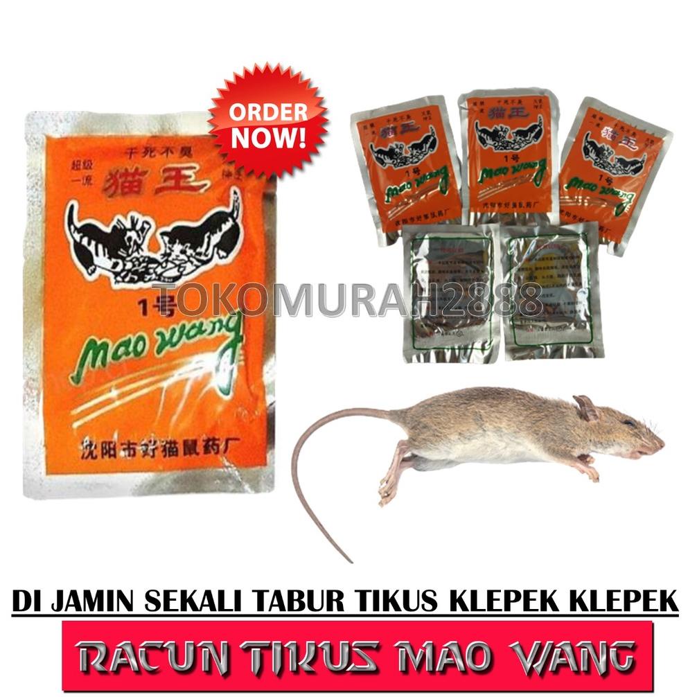 Jual Racun Tikus Mao Wang Tikus Mati Kering Tidak Berbau Racun Tikus