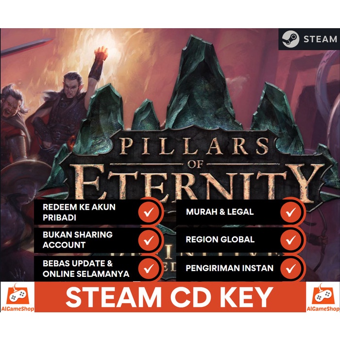 PILLARS OF ETERNITY - PC Collector Edition (with game) EUR 80,00 - FR