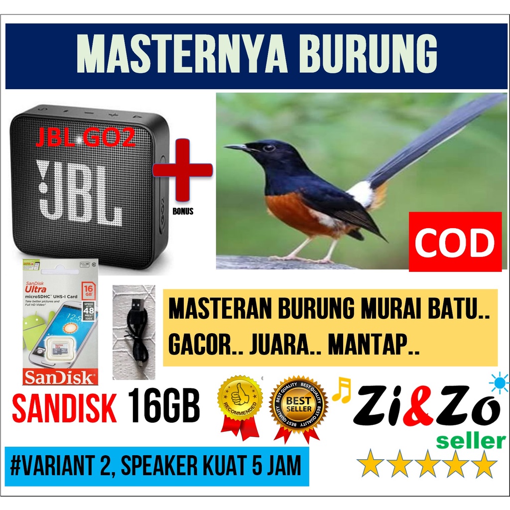 Masterilah Murai Batu Dengan 5 Racun Bisa Burung Masteran Terbaik!