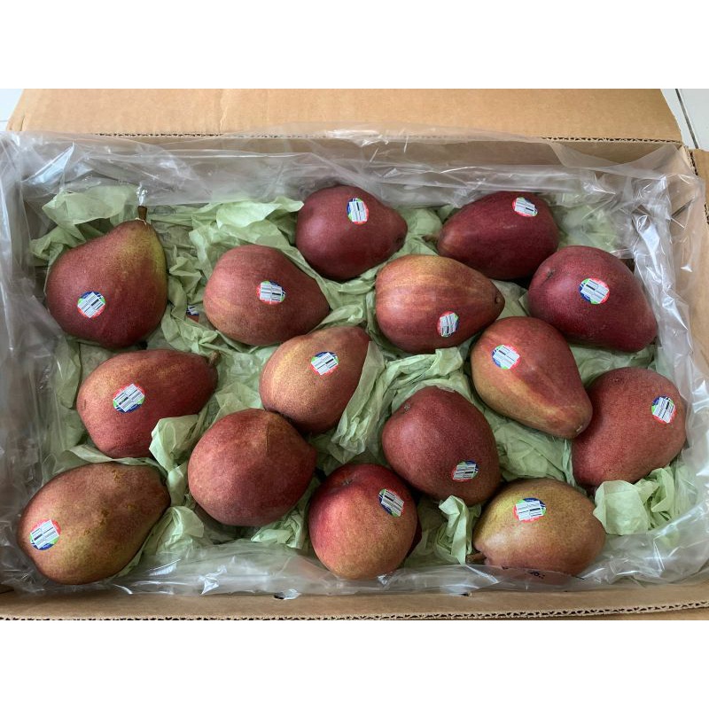 Jual Pear Merah Anjou import Usa | buah pear red 9 kg | dus | Shopee ...