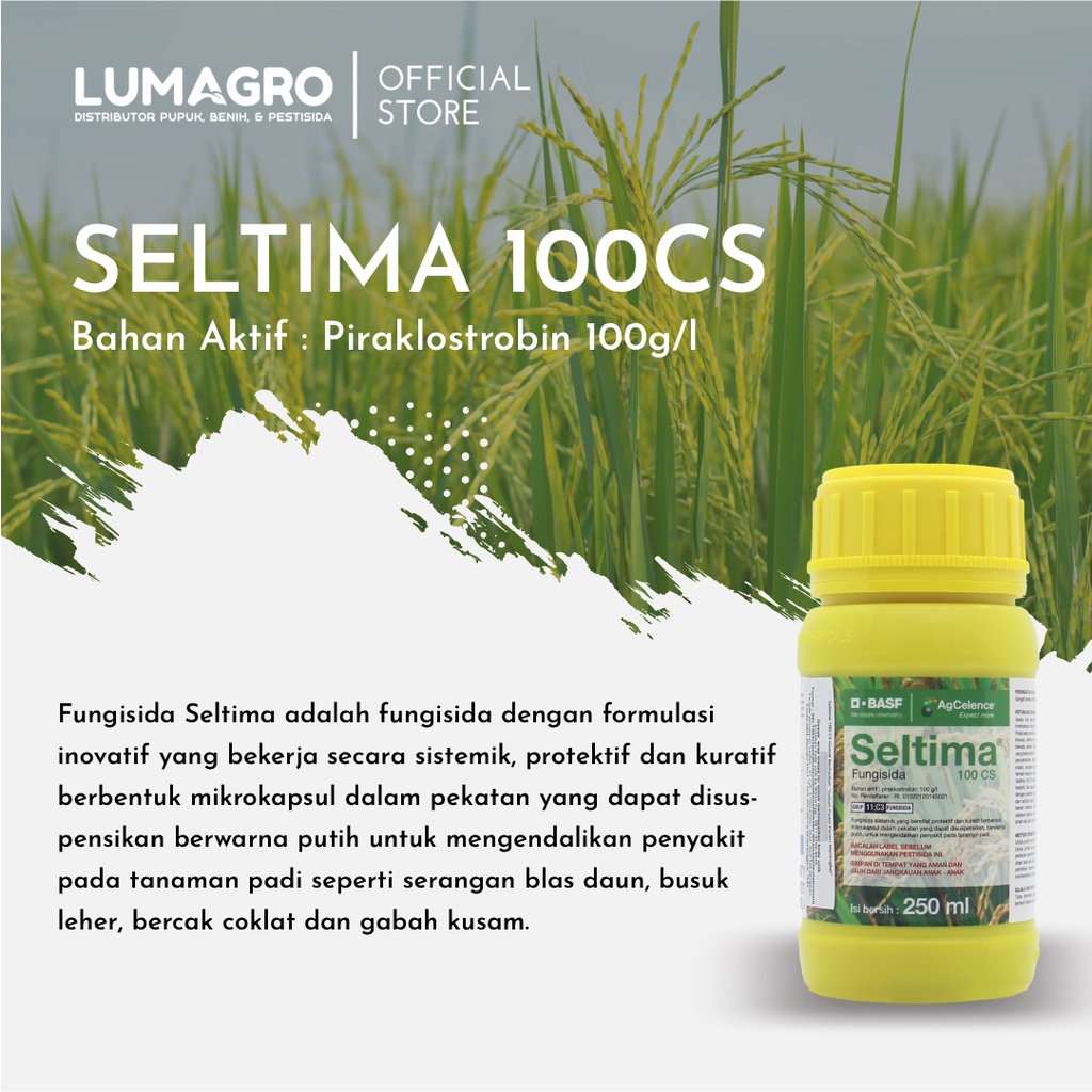Jual Fungisida Seltima 100CS 250ml Piraklostrobin Obat Ampuh ...