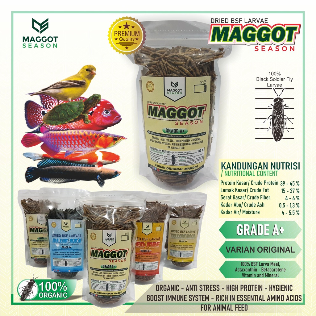 Jual Maggot Season Original Maggot Kering Gr Shopee Indonesia