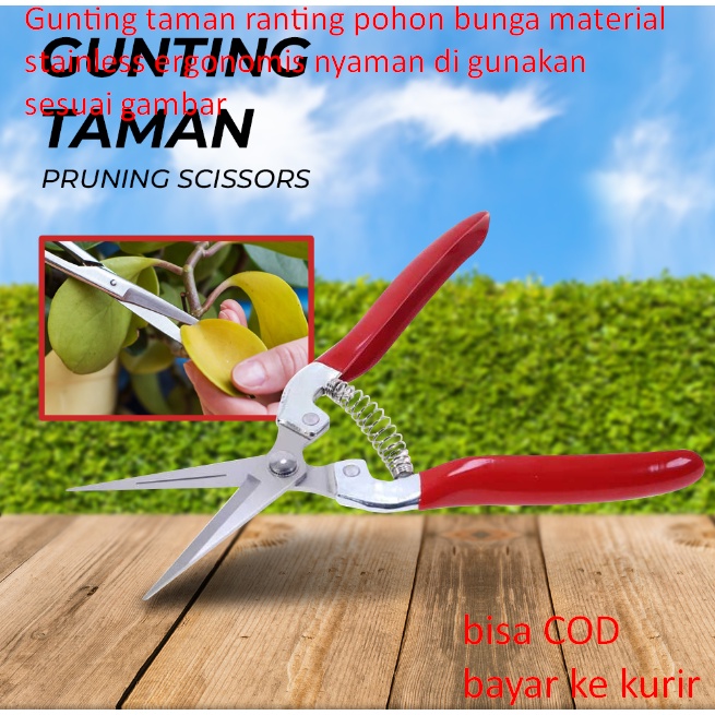 Jual Gunting taman ranting pohon bunga material stainless ergonomis ...