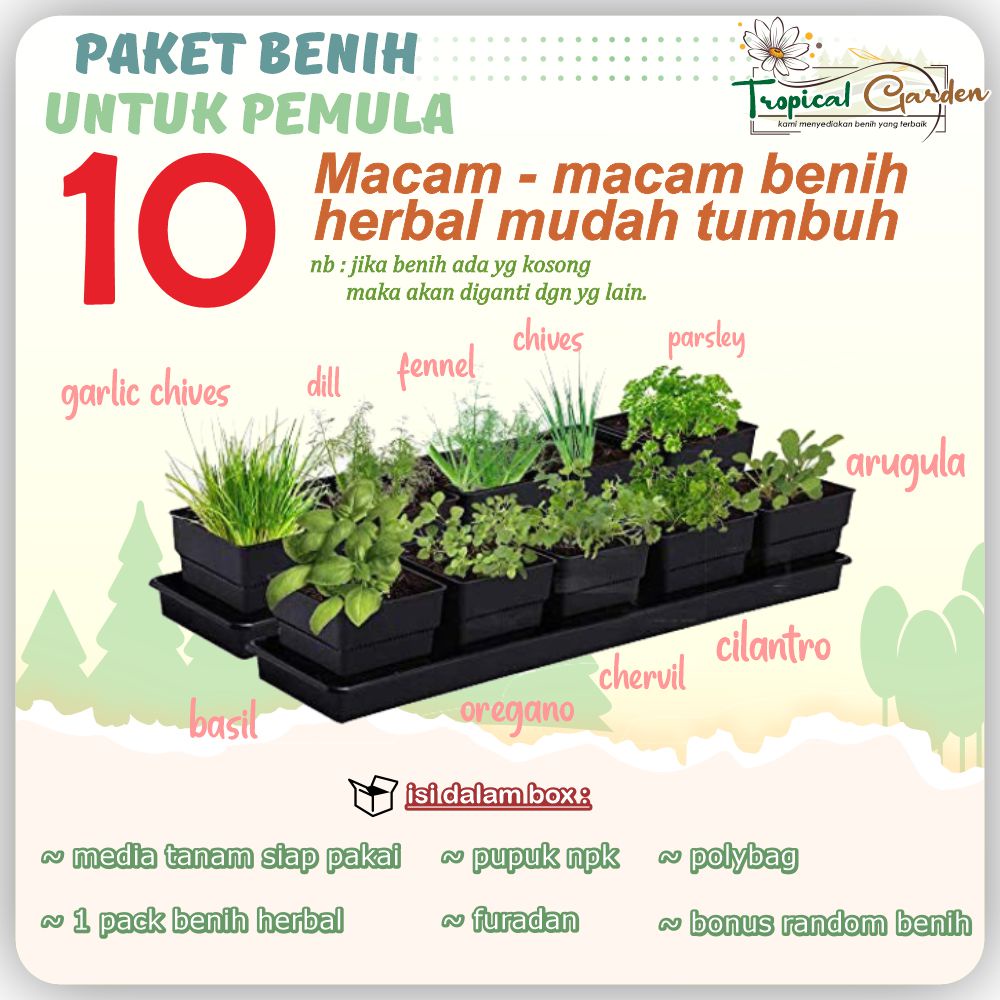 Jual Gardening Kit Paket Benih Herbal Siap Tanam Paket Berkebun Paket Langsung Tanam