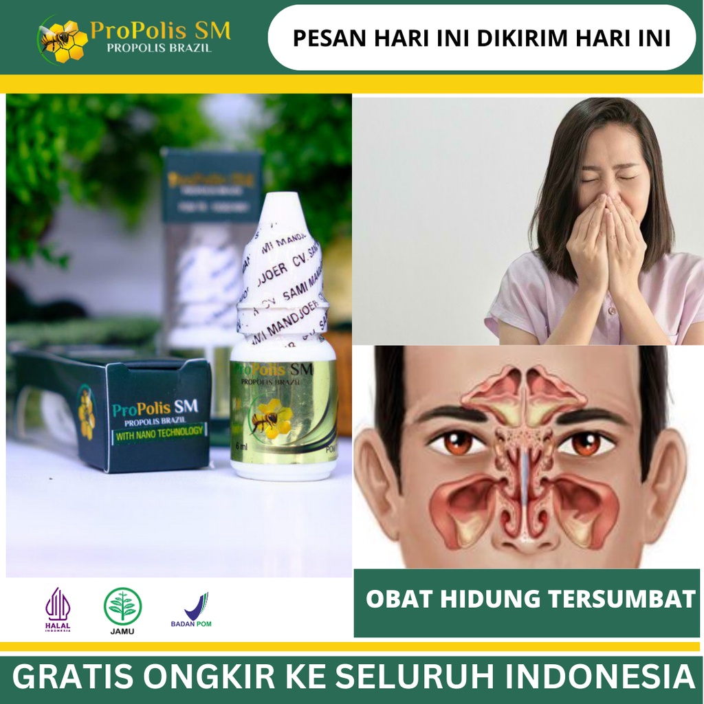 Jual Obat Hidung Tersumbat, Influenza, Paru-paru Basah, Flu Menahun