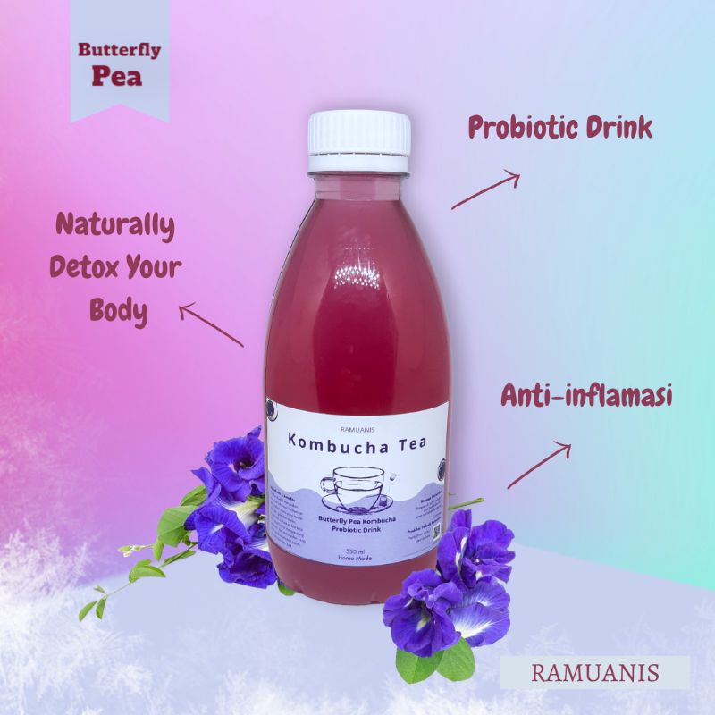 Jual Butterfly Pea Kombucha 350 ml/Probiotic Drink/Kombucha Organic/Teh
