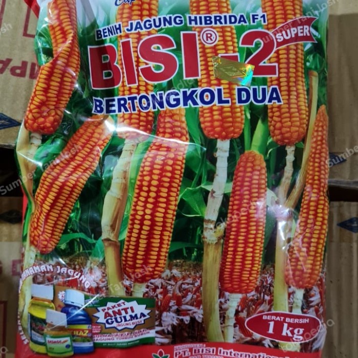 Jual Benih Jagung Hibrida Bisi 2 Super Bertongkol Dua 1kg Shopee