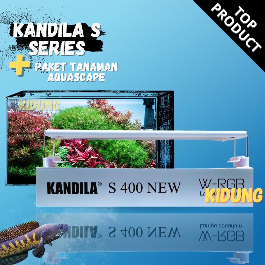 Jual Lampu Led Aquarium Kandila S New Series + Paket Tanaman Aquascape ...