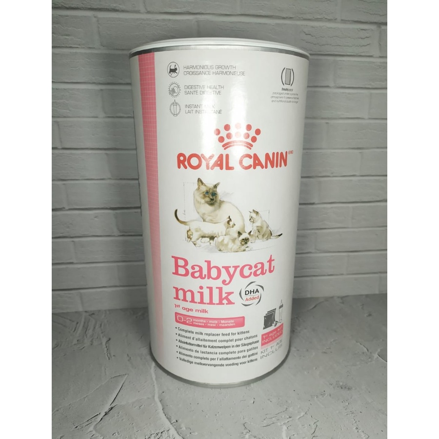 Jual Royal canin Baby Cat Milk 300 gr Shopee Indonesia