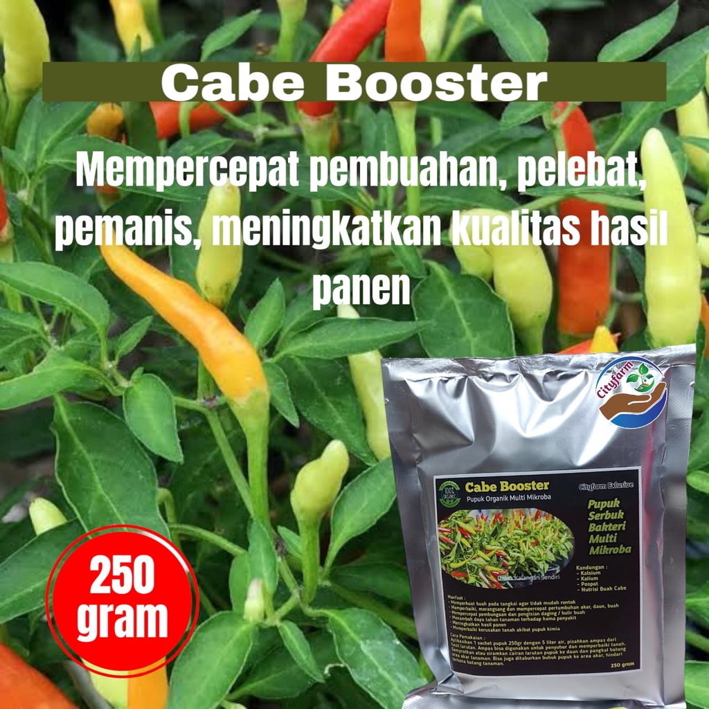 Jual Pupuk Organik Booster Cabe Kualitas Super Pelebat Buah Cabe 250gr ...