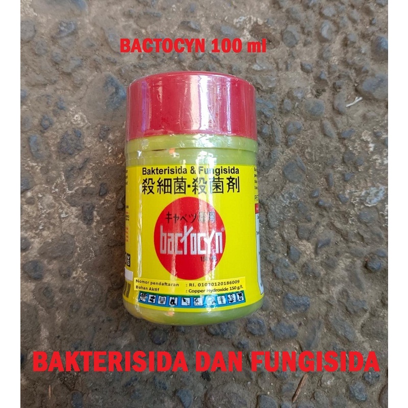 Jual Bactocyn Bakterisida dan Fungisida (100 ml) | Shopee Indonesia