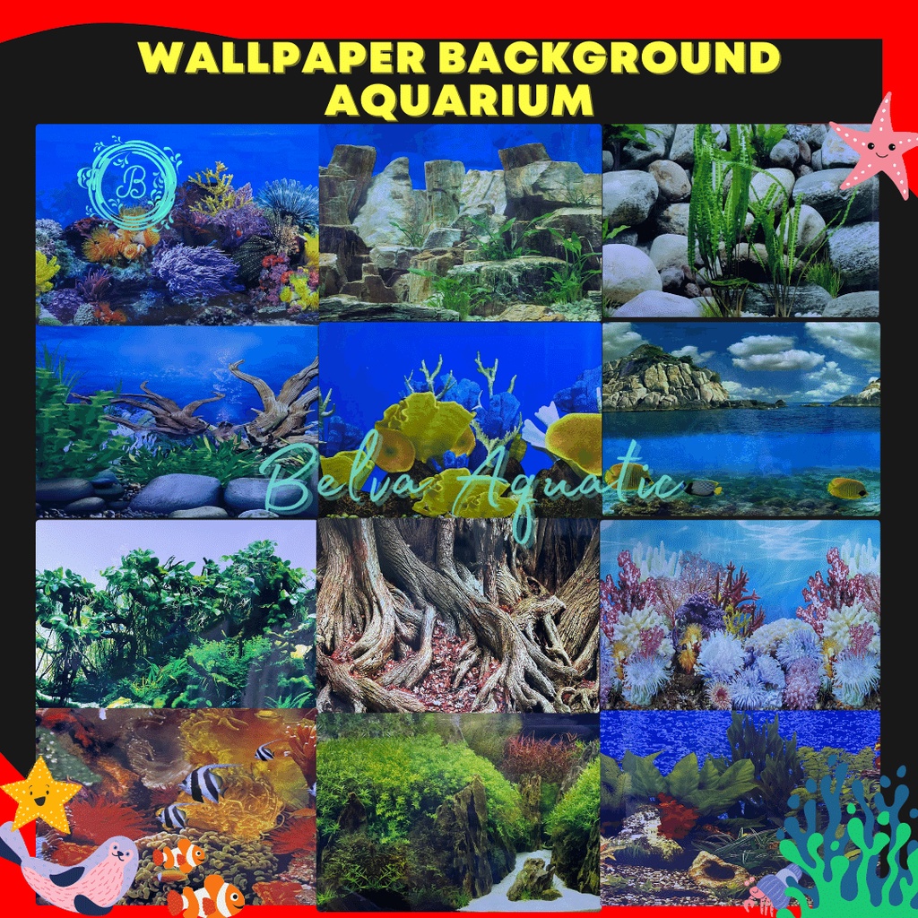 Jual Background Wallpaper Aquarium Panjang Meteran Tinggi 30 40 50 60