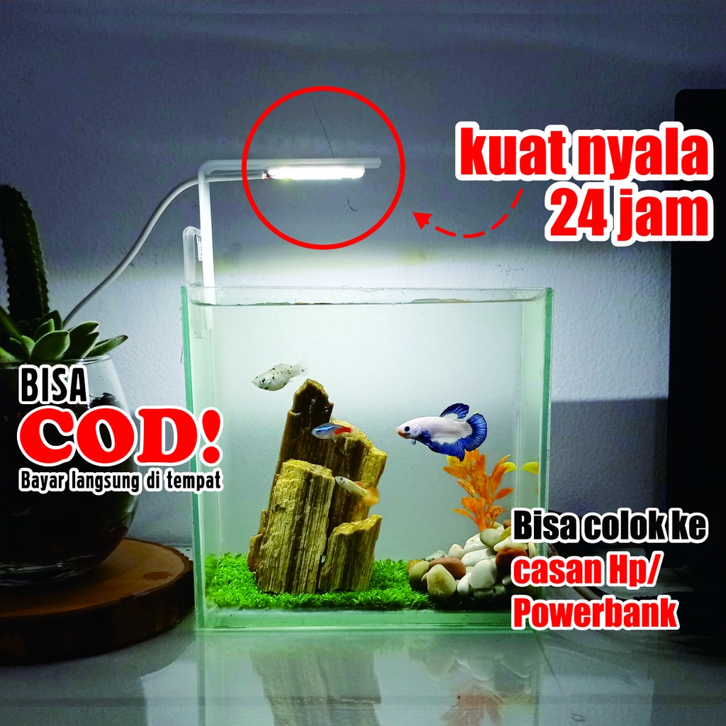 Jual Lampu Aquarium Aquascape Akuarium Soliter Led Mini Kecil Jepit ...