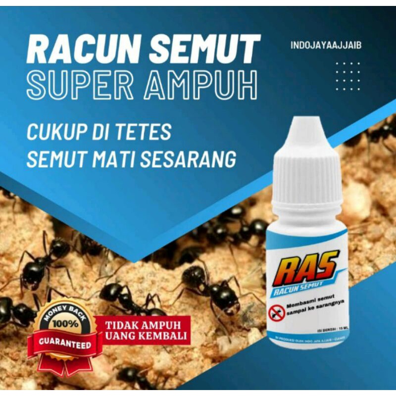 Jual Racun Anti Semut RAS basmi semut sampai sarangnya | Shopee Indonesia