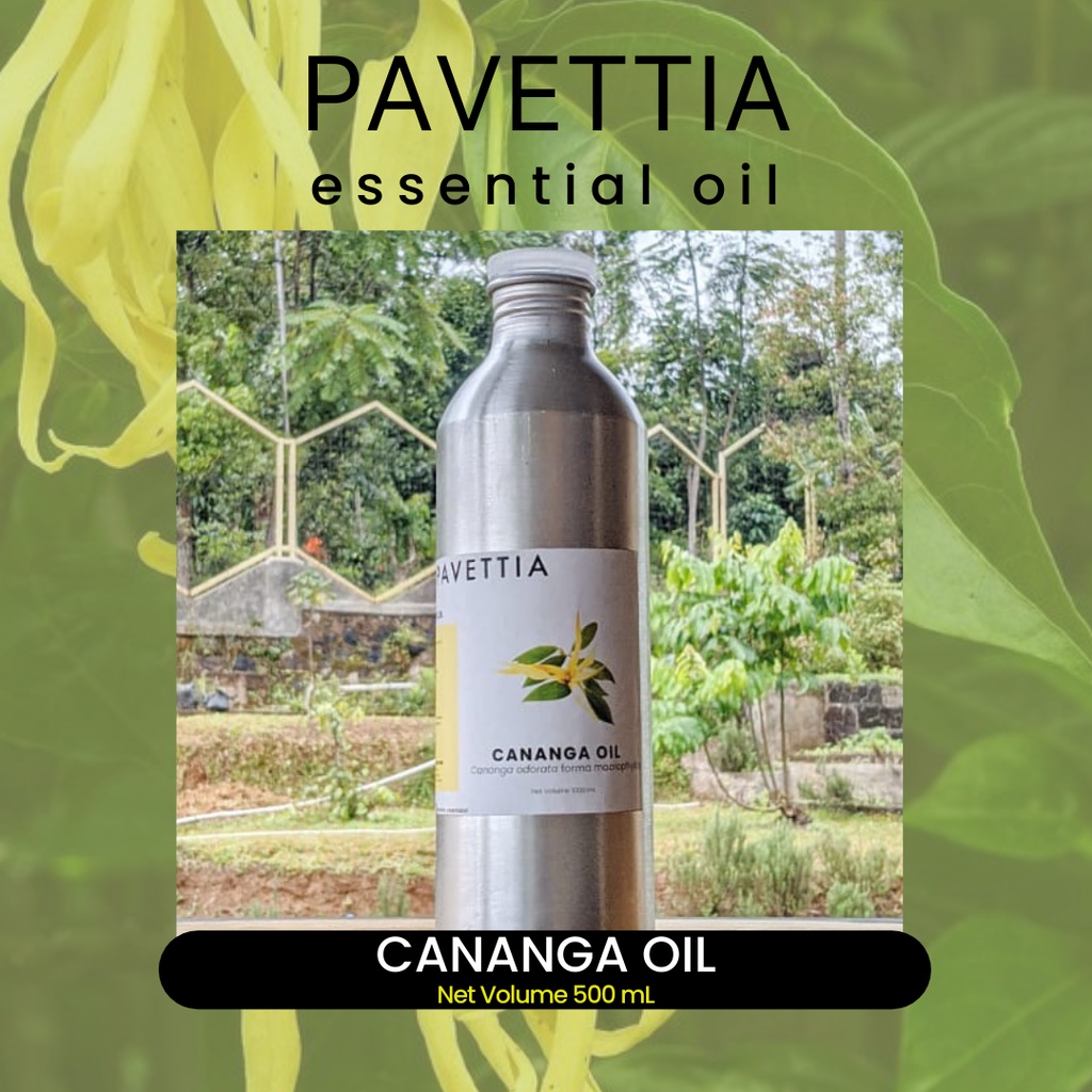 Kenanga (Cananga odorata): Aromaterapi yang Menenangkan Jiwa dan Raga