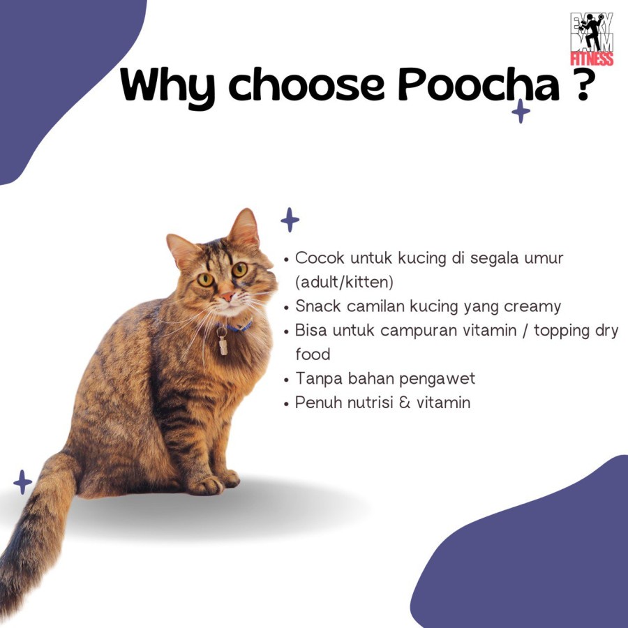 Jual POOCHA CAT WET FOOD 400GR 400 GR GRAM MAKANAN KALENG KUCING BASAH ...