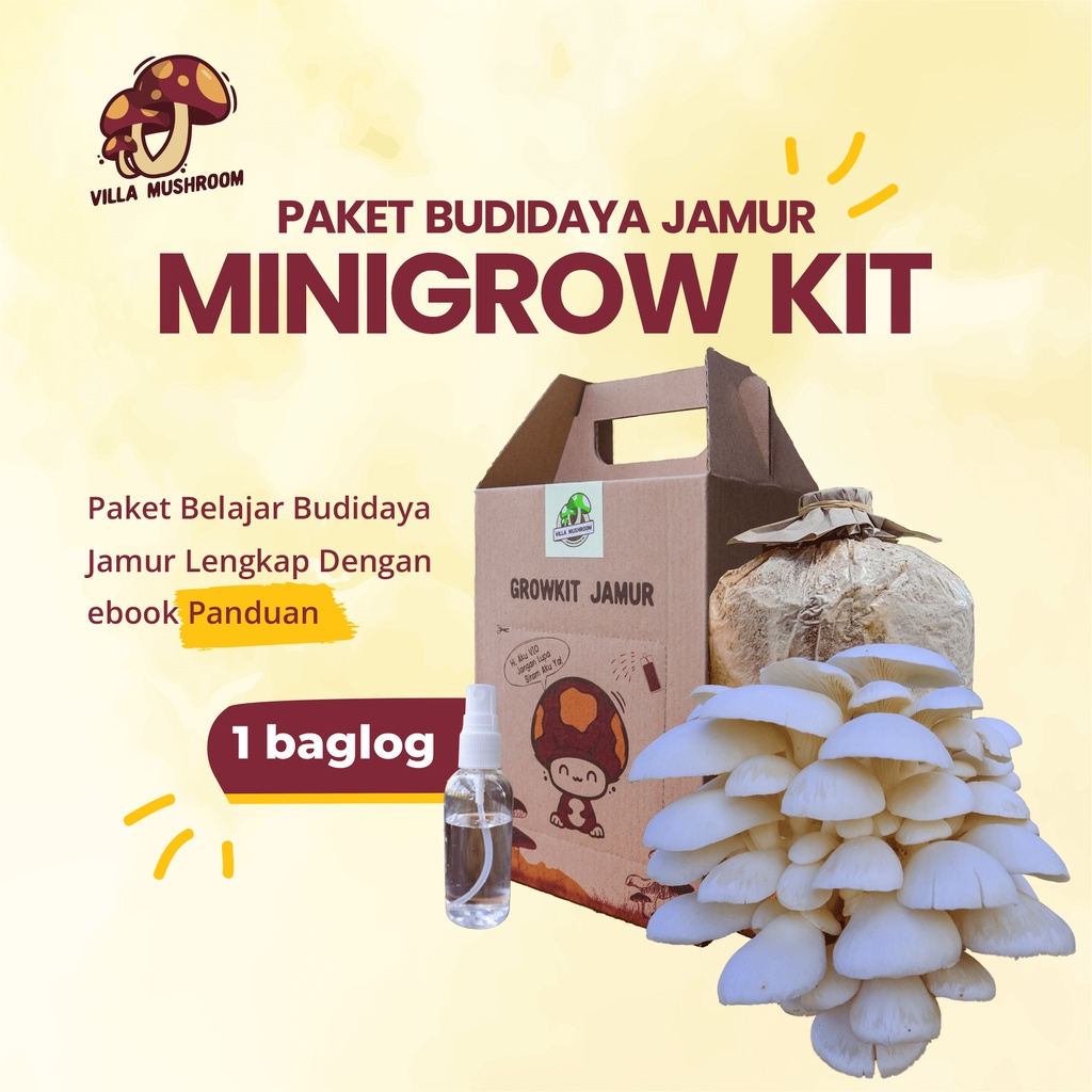 Jual Paket Budidaya Jamur Minigrow Jamur 1 Baglog Jamur Shopee Indonesia 8106