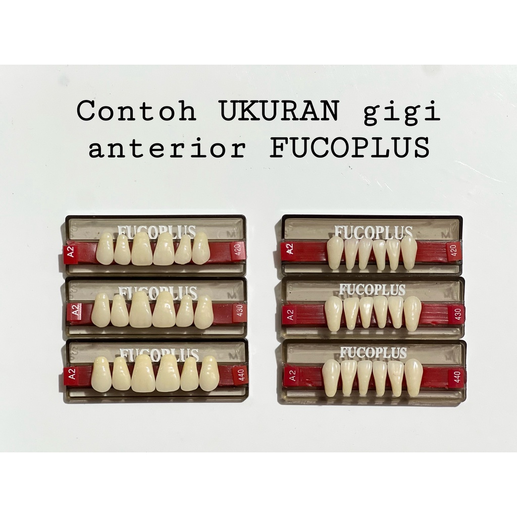 Jual Eceran Gigi ANTERIOR FUCOPLUS | Shopee Indonesia