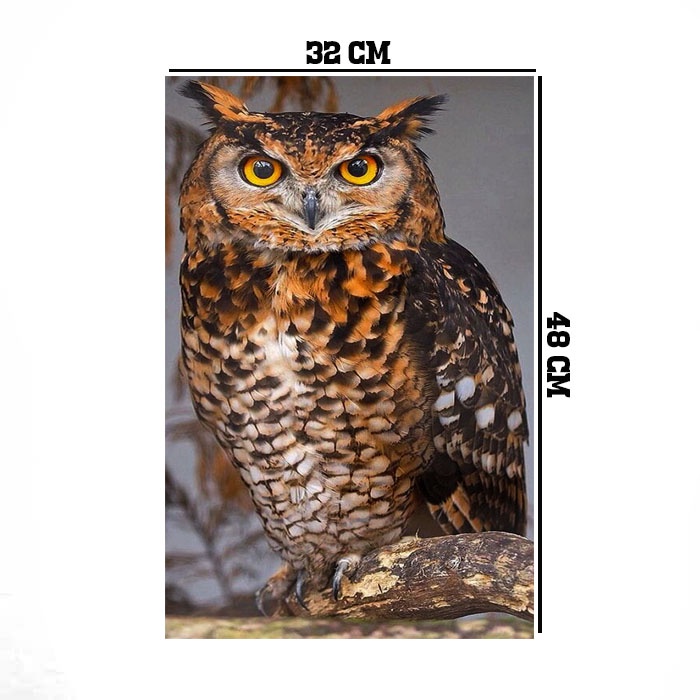 Jual Hiasan dinding poster dan frame uk 32 x 48 cm motiv burung hantu ...