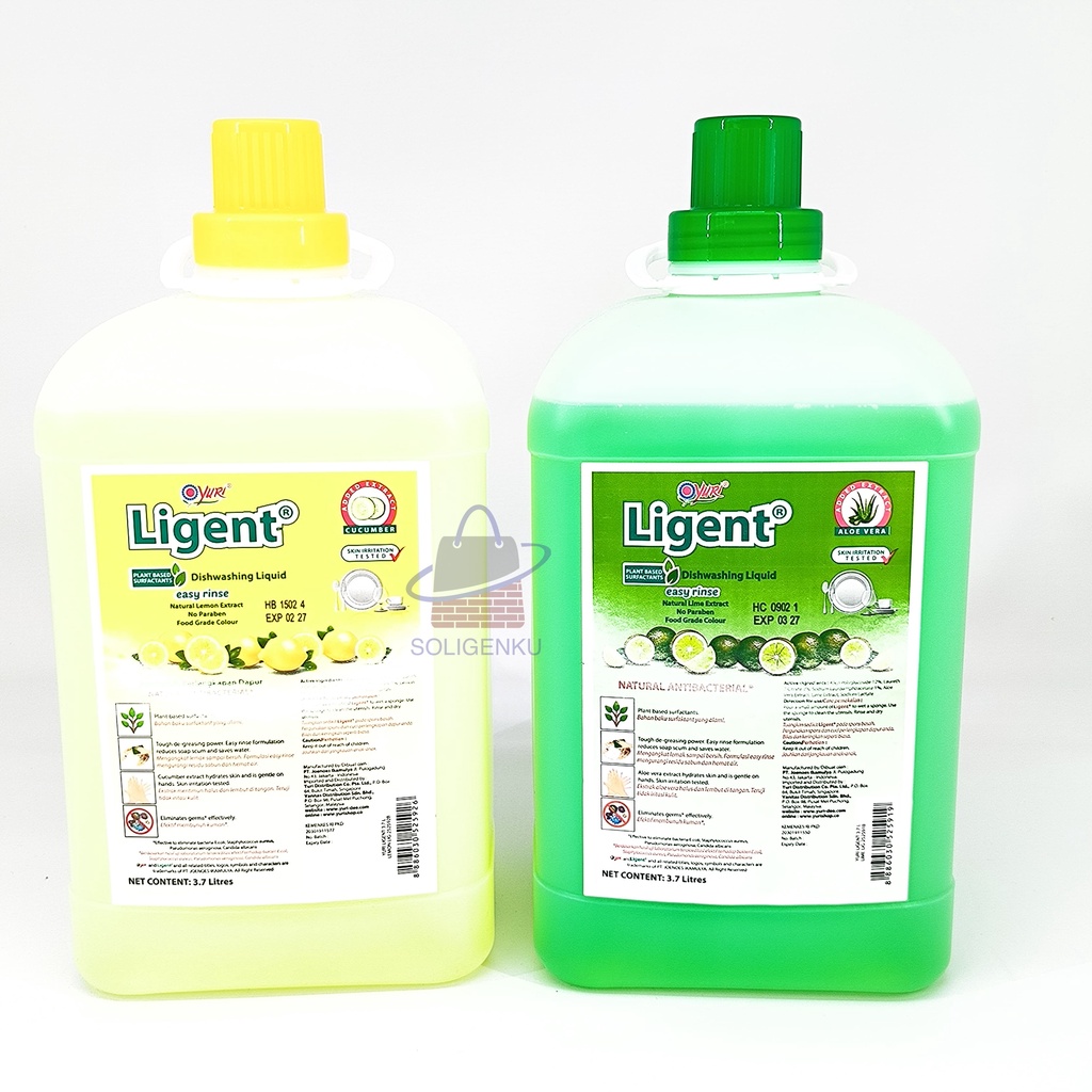 Jual YURI LIGENT Cairan Sabun Cuci Pencuci Piring HIJAU Jerigen 3.7 ...