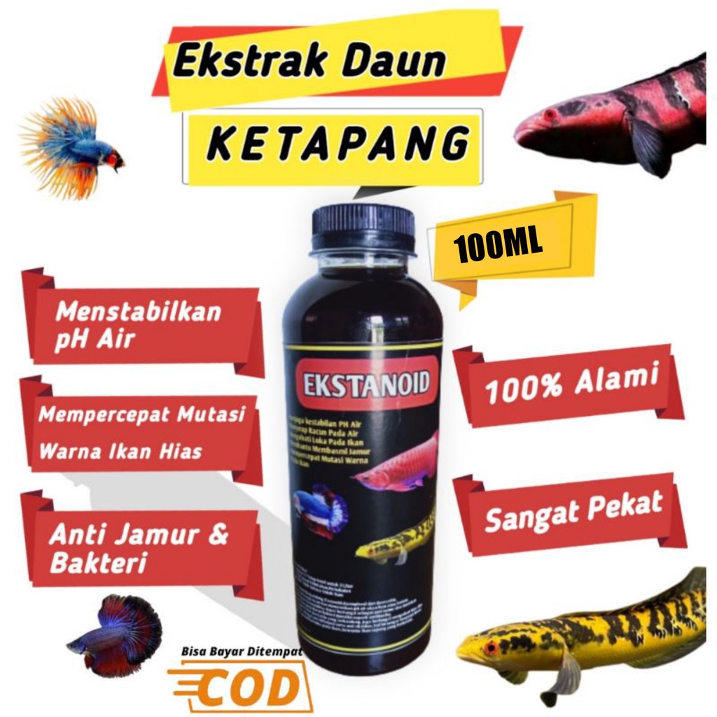 Jual Ekstrak Daun Ketapang 100 Original Mutasi Warna Ikan Channa Olahan Pekat 100ml Shopee