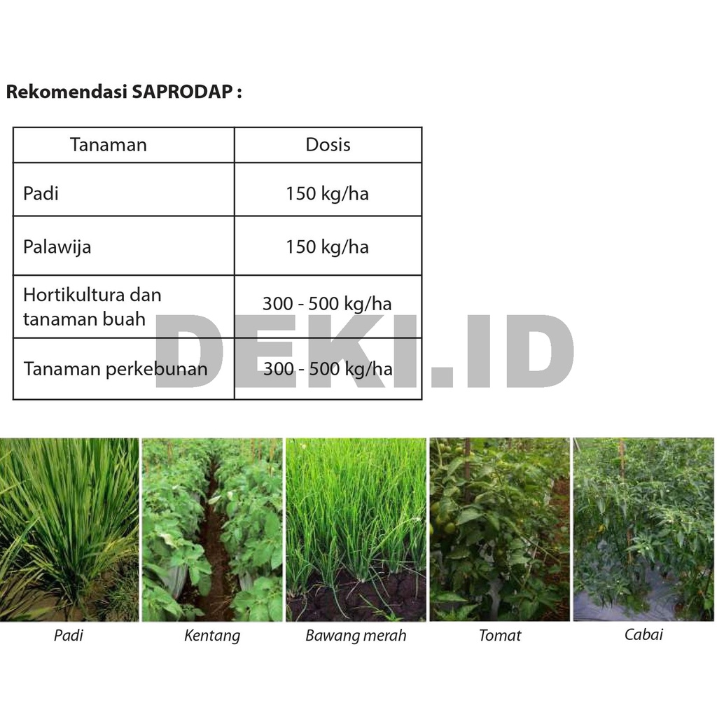 Jual Saprodap 5 Kg Kemasan Pabrik Pupuk Ammonium Pospat Pak Tani 16 20 ...