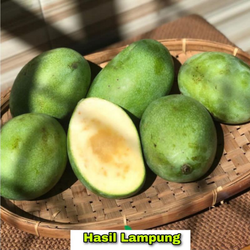Jual Mangga Madu Manalagi Manis Super Premium 1 Kg | Shopee Indonesia