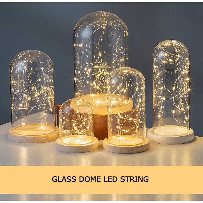 Jual FLOPY [Termasuk Lampu] Glass Dome Led String / Flower Dome Light ...
