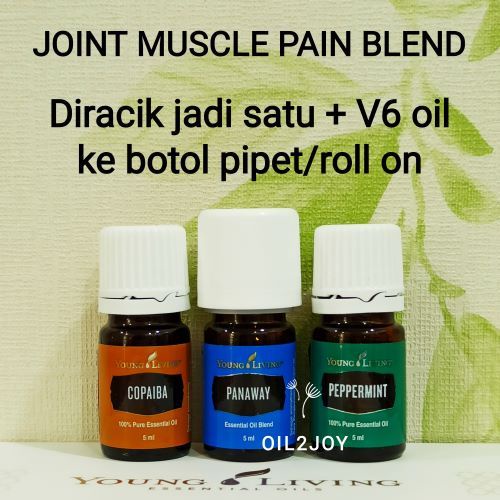 Jual Young Living Joint Muscle Panaway Copaiba Peppermint Cypress YL