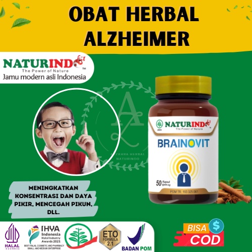 Jual Vitamin Otak Nutrisi Otak Obat Herbal Meningkatkan Daya Ingat Otak