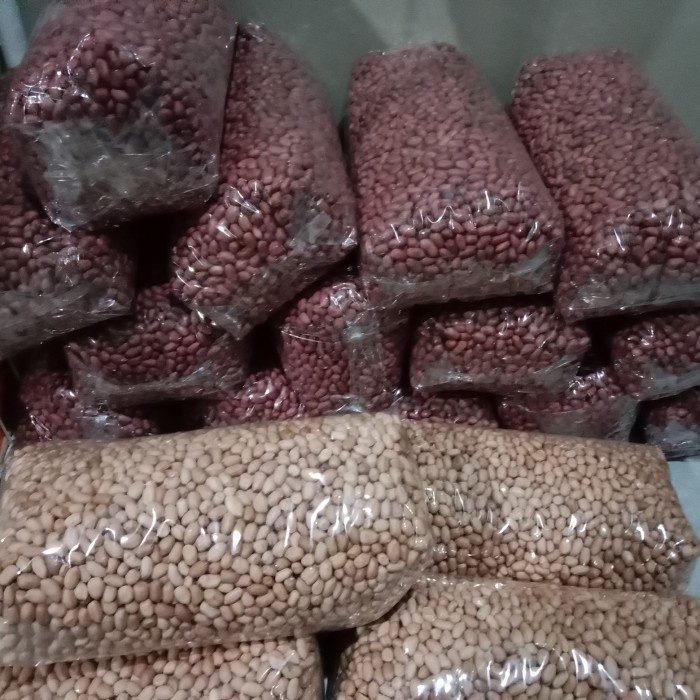 Jual Benih Kacang Tanah 1 Kg Super Varietas Gajahbibit Kacang Tanah Gajah Shopee Indonesia 4620