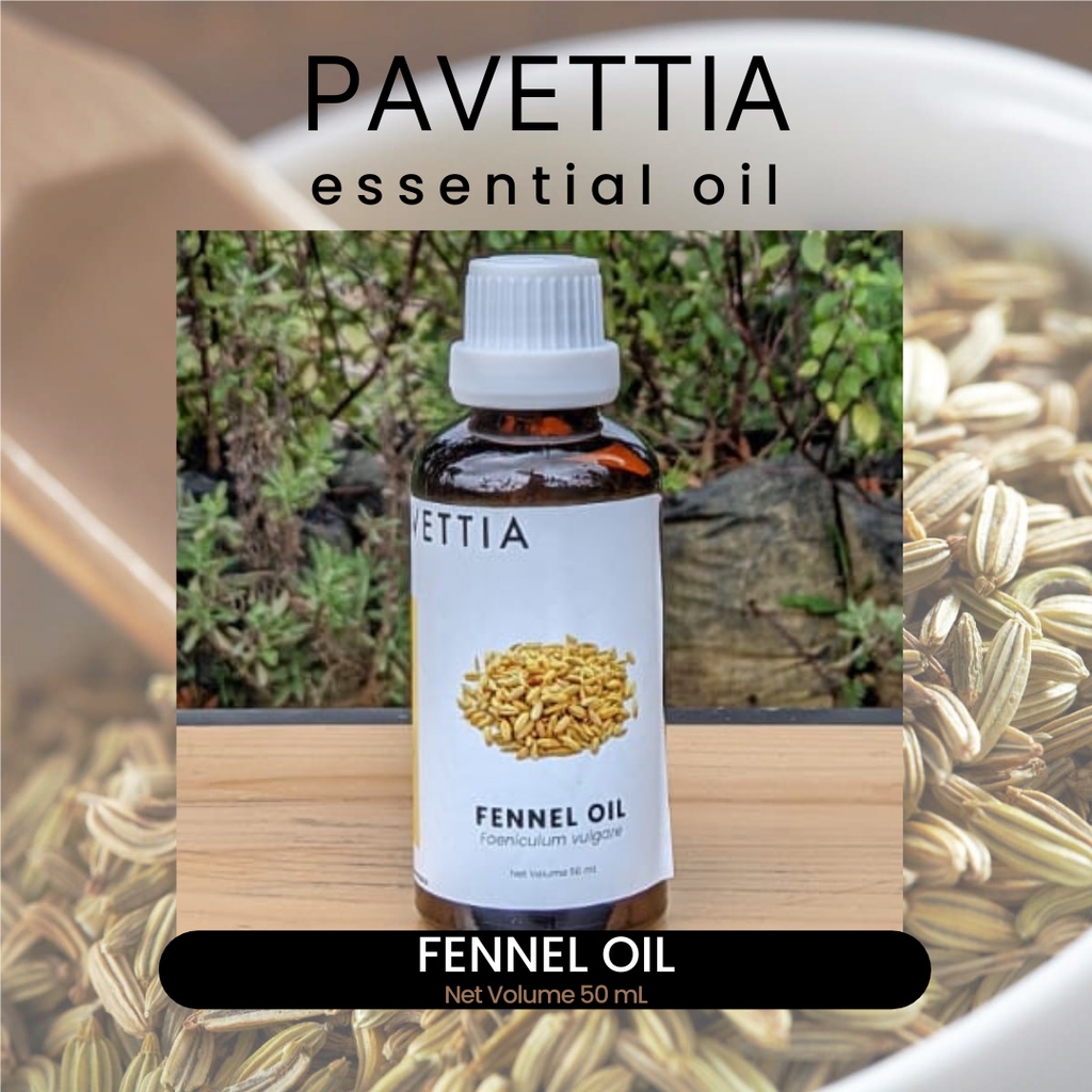 Jual Ml Fennel Essential Oil Minyak Adas Manis Foeniculum