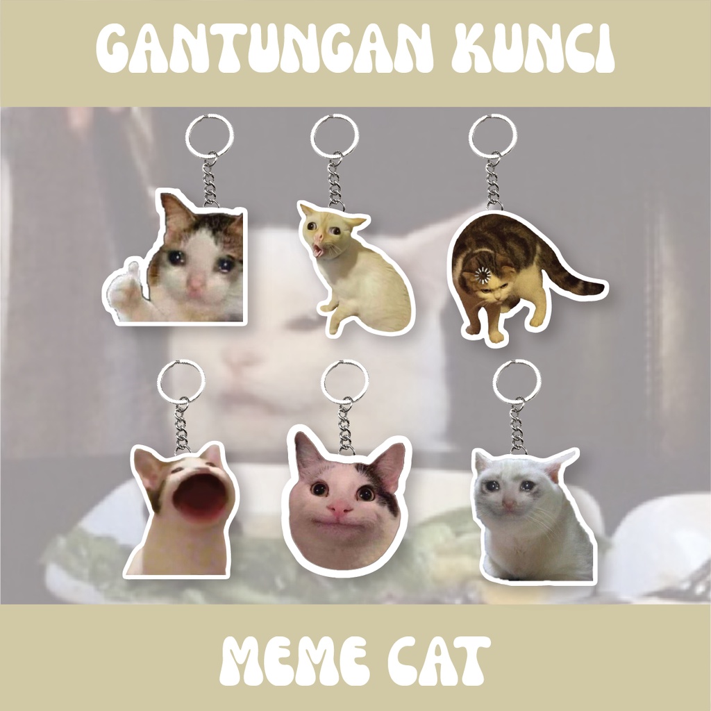 Jual GANTUNGAN KUNCI MEME CAT | AKRILIK 3MM | CAT | KUCING | GANCI