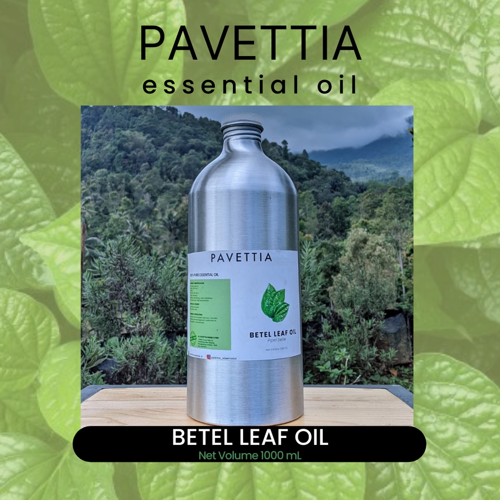 Jual 1000 ml - Minyak atsiri daun sirih / betel leaf essential oil ...