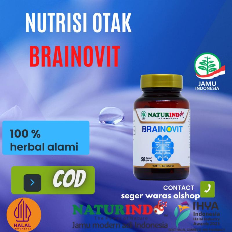 Jual Suplemen Otak Herbal Vitamin Otak Nutrisi Otak Obat Herbal