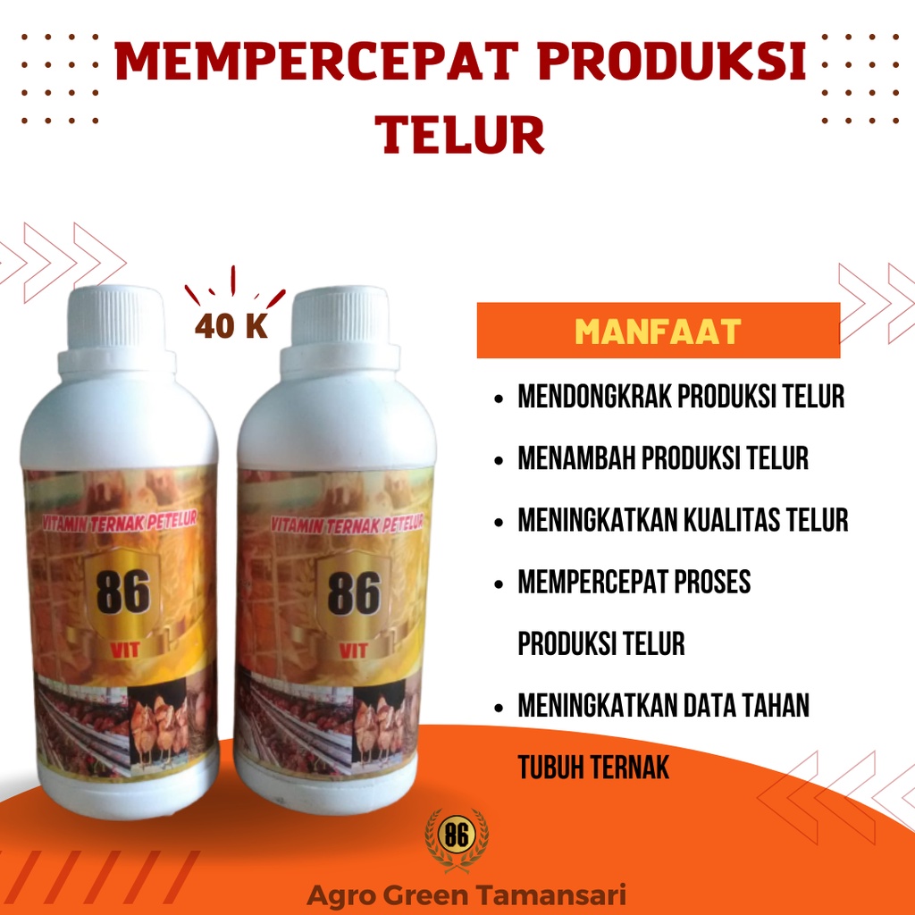 Jual Vitamin Ayam Petelur Asli Originall Vit Original Menambah