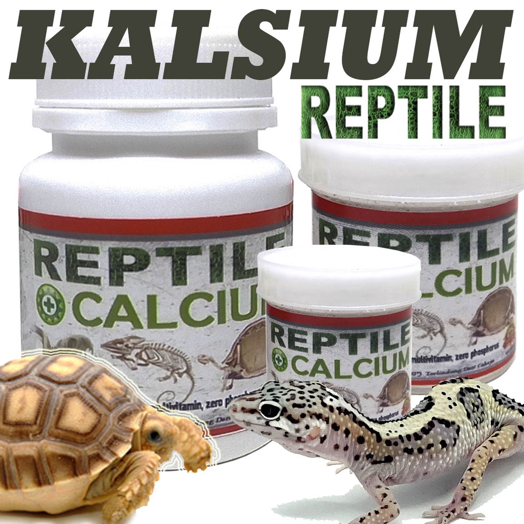 Image showcasing Jual calcium Reptile kalsium memperkuat tulang mencegah MBD reptil ...