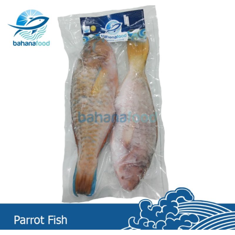 Jual Parrot Fish Frozen Shopee Indonesia