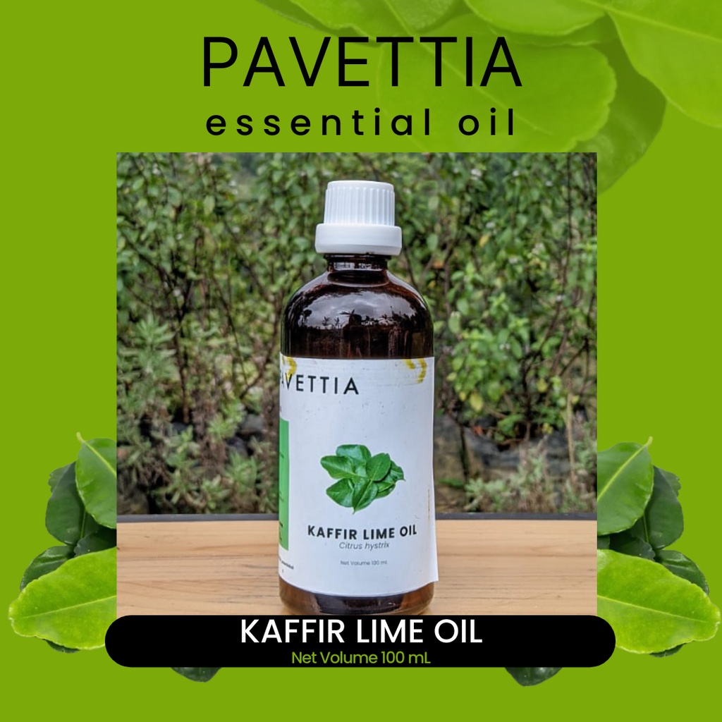 Jual 100 ml - minyak atsiri daun jeruk purut / kaffirlime essential oil