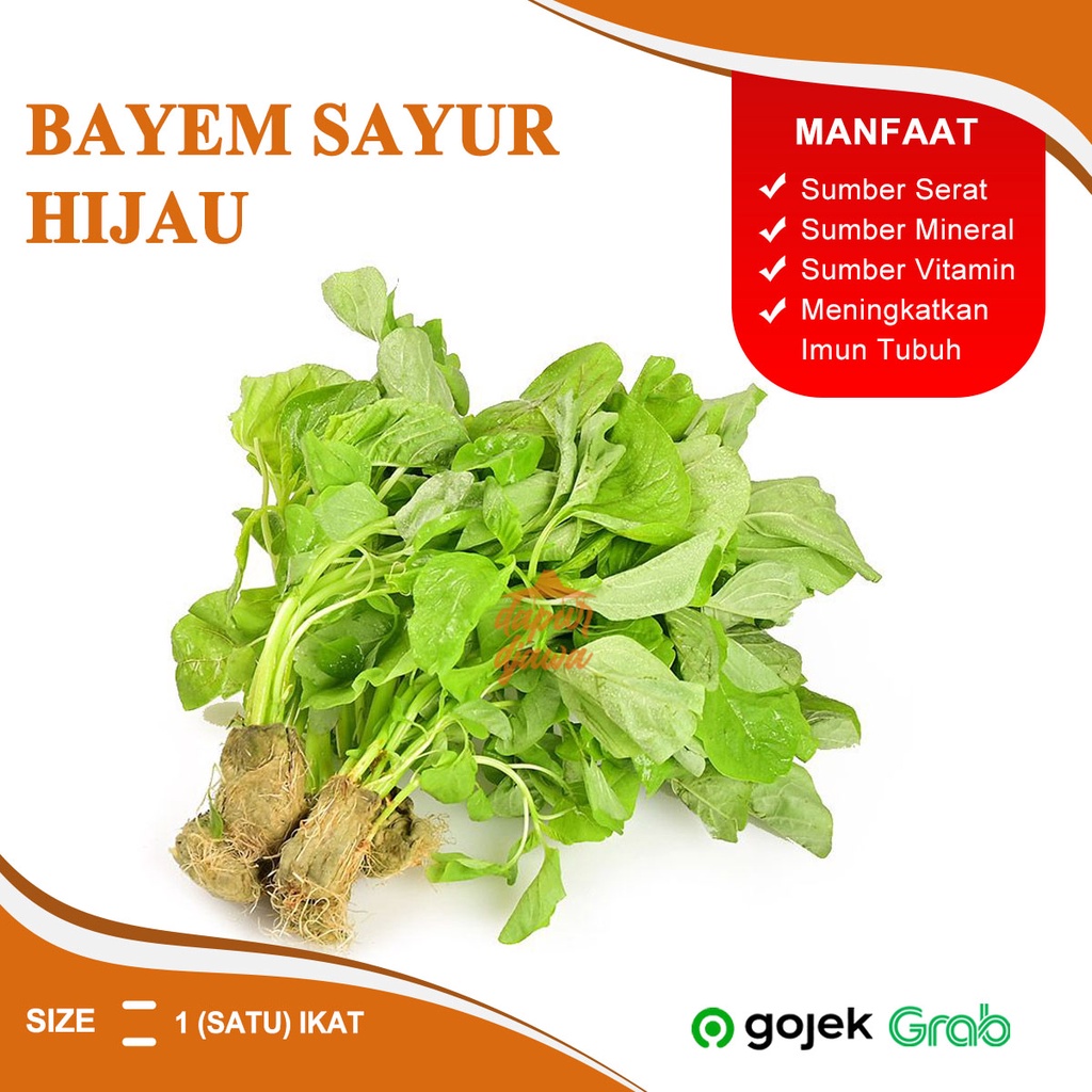 Jual Sayur Sayuran Bayem Hijau Makanan Segar Fresh Sehat Beku Kering