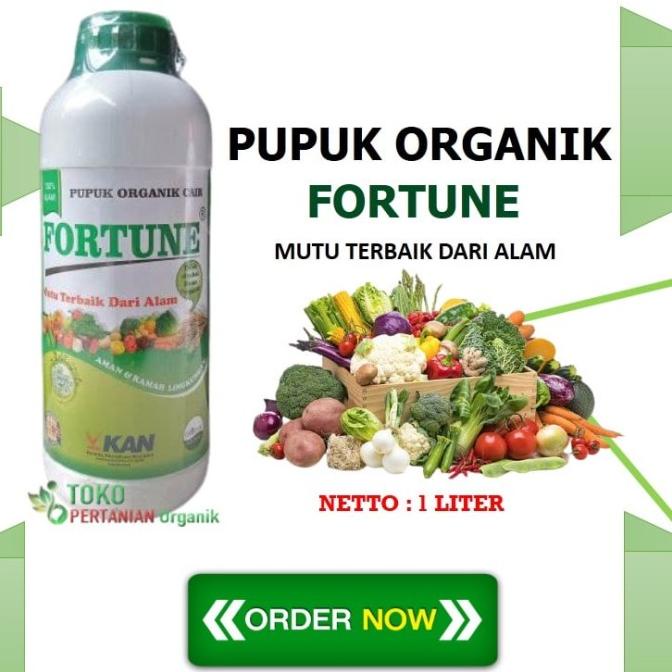 Jual Pupuk Organik Fortune Nutrisi Untuk Kelapa Sawit Agar Berbuah Lebat Spesialis Boster