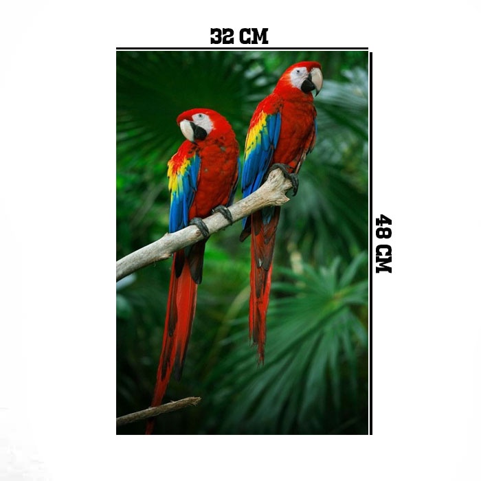 Jual Hiasan dinding poster dan Frame uk 32 x 48 cm motiv burung beo ...