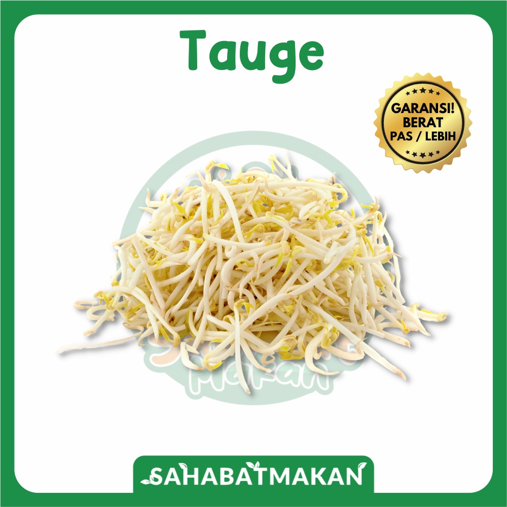 Jual Toge Terlengkap & Harga Terbaru Agustus 2026 | Shopee Indonesia