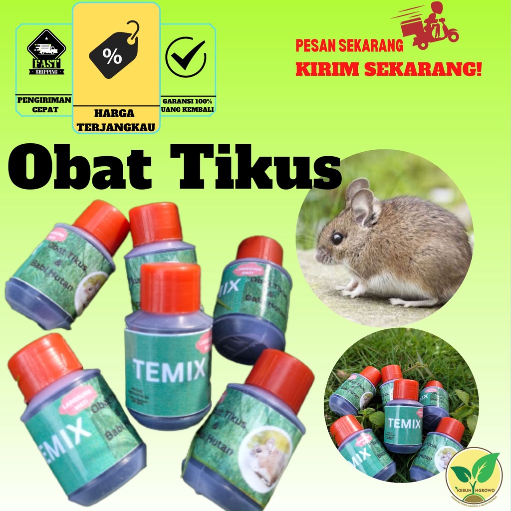 Jual Obat Tikus Dan Babi Hutan Terampuh/ Obat Atau Racun Hama Tikus ...