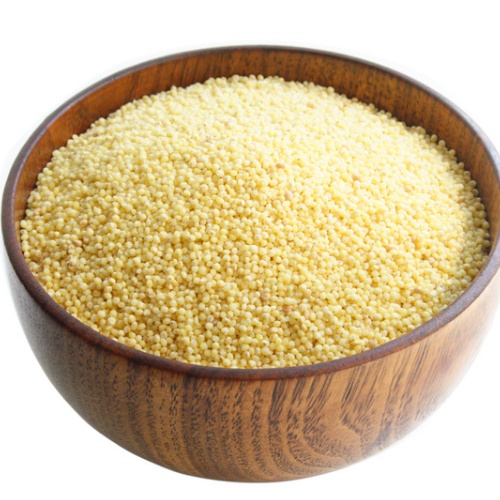 Jual Samak Rice / Banyard Millet / Indian Chaaval Chawal / Beras India