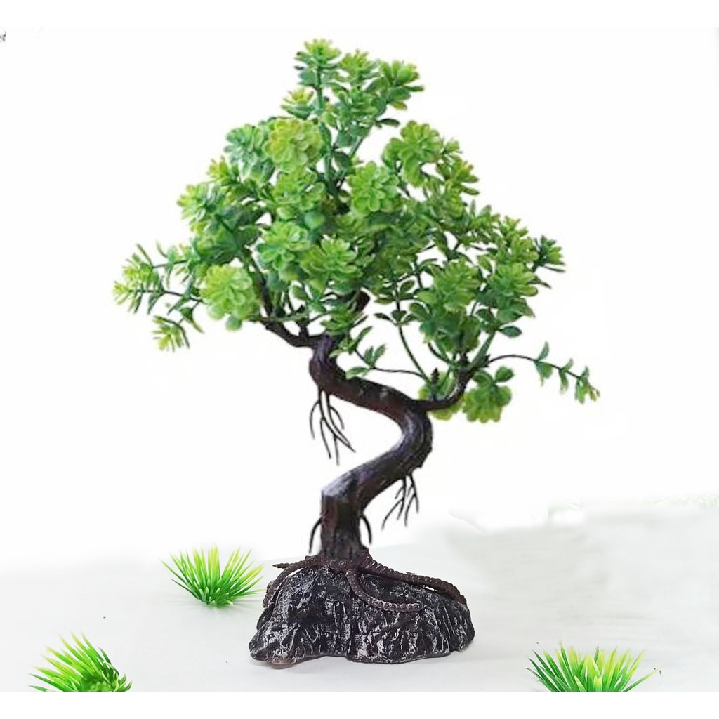 Jual Hiasan aquarium tanaman bonsai, bonsai aquarium, dekorasi aquarium