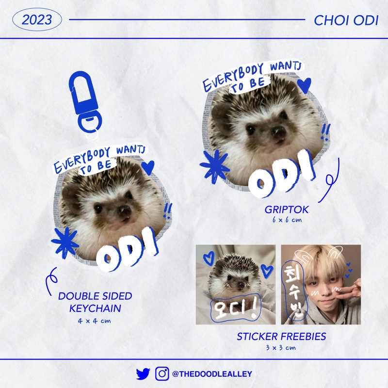 Jual [TIDAK ADA RESTOCK] Odi Hedgehog - Griptok & Keychain | Shopee ...